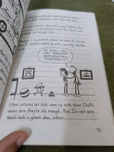 Diary Of Wimpy Kid No Brainer