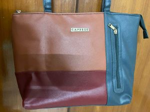 Caprese Multi-Tone Tote Bag