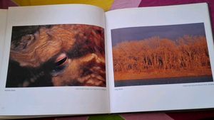 VIEWS Best of the Northwest Book