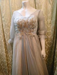 Goldish Grey Embellished Tulle Dress