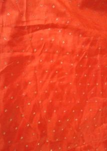 Orange Saree with Embellishments