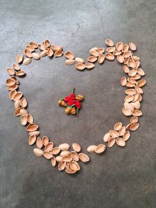 Pistachios Shells 110 Pieces
