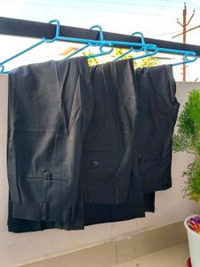 Combo Of 3 Formal Pants