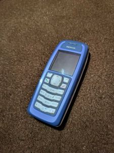 Nokia 3100