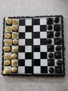 Traveller&#39;s Magnetic Chess