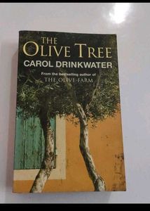 The Olive Tree Novel