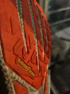 Sport Shoes Skechers