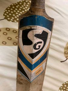 Kashmir Willow Sg Bat