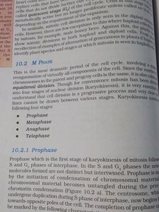 Biology Class 11