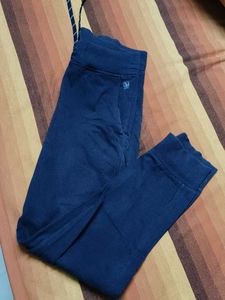 Woodland Men Blue Active Wear Joggers