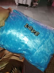 Designer Cushion