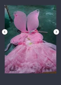 New Fairy Dress