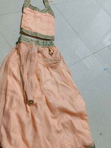 Peach Net Lehenga Skirt