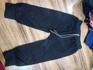 Pant Style Bottom Wear