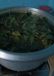 anti dandruff shampoo