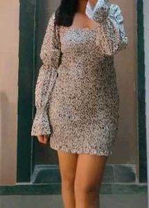 Animal Print Long Sleeve Dress