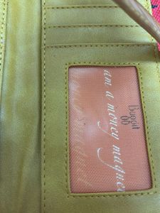 Baggit Wallet