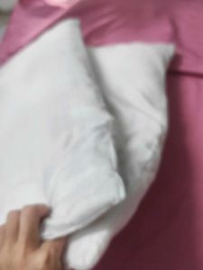 2 Pillow (Cushion?