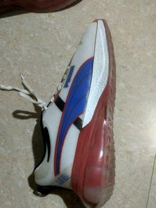 Sports Shoe