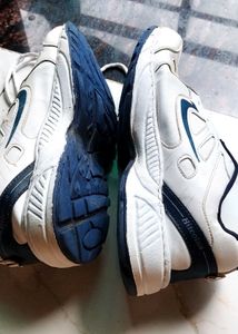 Hitcolus White &amp; Blue Sneakers