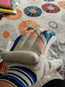 Cricket Hand Gloves