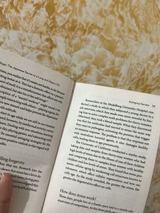 IKIGAI NOVEL