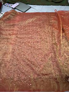 Honey Coloured And Sequence Worked Organza Saree