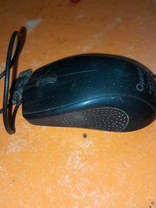 Mouse