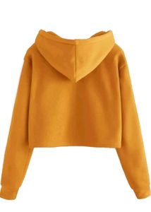 Fabricorn Stylish Sweatshirt with Hoody for Women
