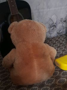 Teddy Bear