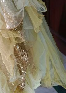 Elegant Ethnic Gown