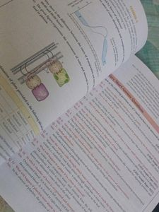 Xamidea SCIENCE For CBSE Class 10 2022-23