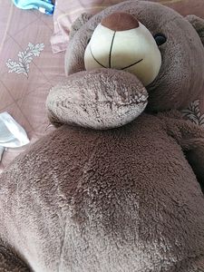 Big Broun Teddy