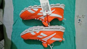Sports Shoes for Players