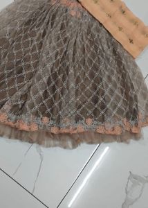 Elegant Lehenga Choli Set