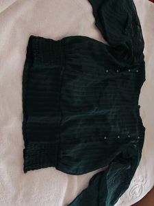 Green Sheer Sleeve Top