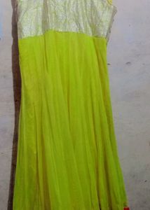 Net Gown