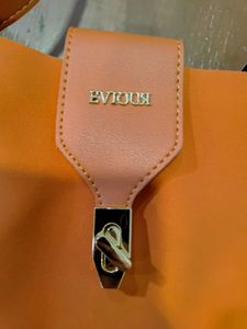 Gucci And Eviour Brand Bag