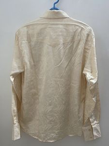 Beige Silk Partywear shirt