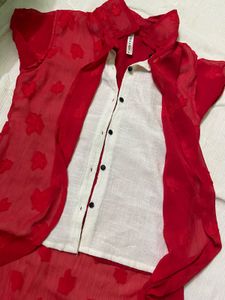 Red Sheer Top