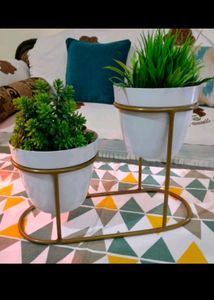 UNIQUE FLOWER POT