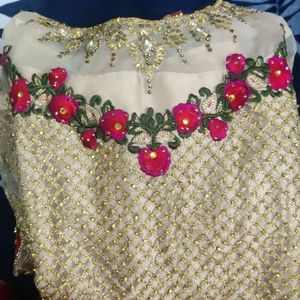 Elegant Pakistani/Indian Wedding Dress