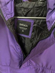 DeFacto Men Purple Solid Hooded Padded Jacket
