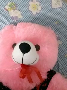 Stuffed Teddy