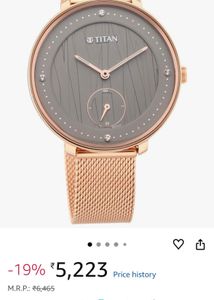 Titan Watch Gold-tone