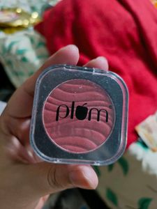 Plum Blush Shade 123 One In A Melon