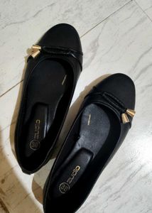 Zudio Black Bellies