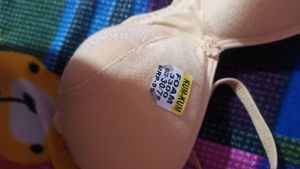 Fancy Paded Bra For Women