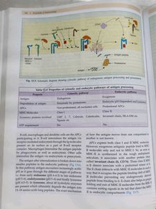 Essentials of Immunology