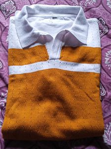 Striped Polo Shirt